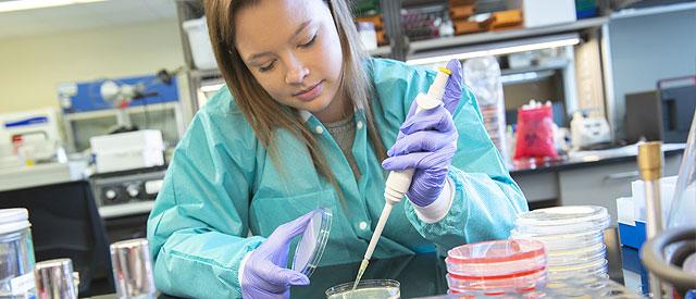 A student working in a laboratory 